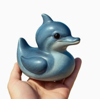 Dolphin Duck