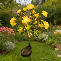 Yellow Azalea