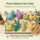 🎁Last Day Promotion 49% OFF🔥5pcHandmade Soft Cactus Kitten Chew Toys with Natural Catnip