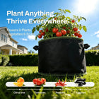 🌱 5 Gallon Grow Bags – Heavy Duty Aeration Fabric Pots with Handles for Vegetables, Flowers & Fruits 🪴