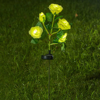 Yellow Rose