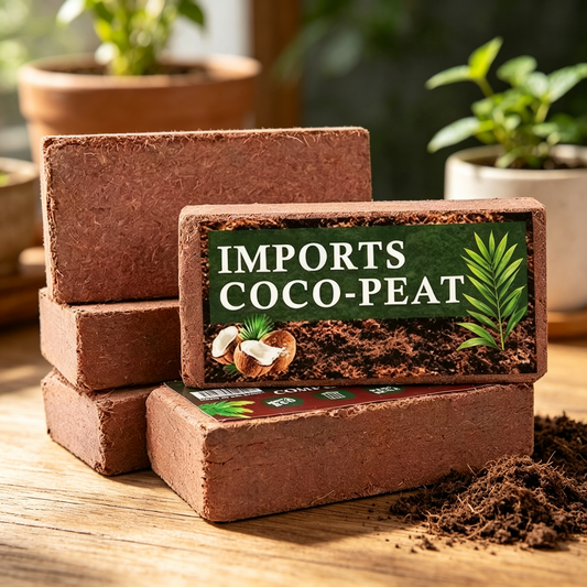 Stop Killing Your Plants With Bad Soil.