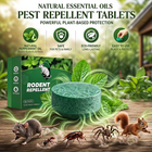 💥LAST DAY SALE 50%OFF💥🟢 Natural Peppermint Rodent Repellent Tablets – 12 Pack