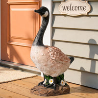 Canada Goose