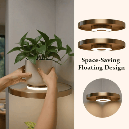 Illuminated Floating Corner Shelf ✨ Turn Empty Corners Into Glowing Showpieces