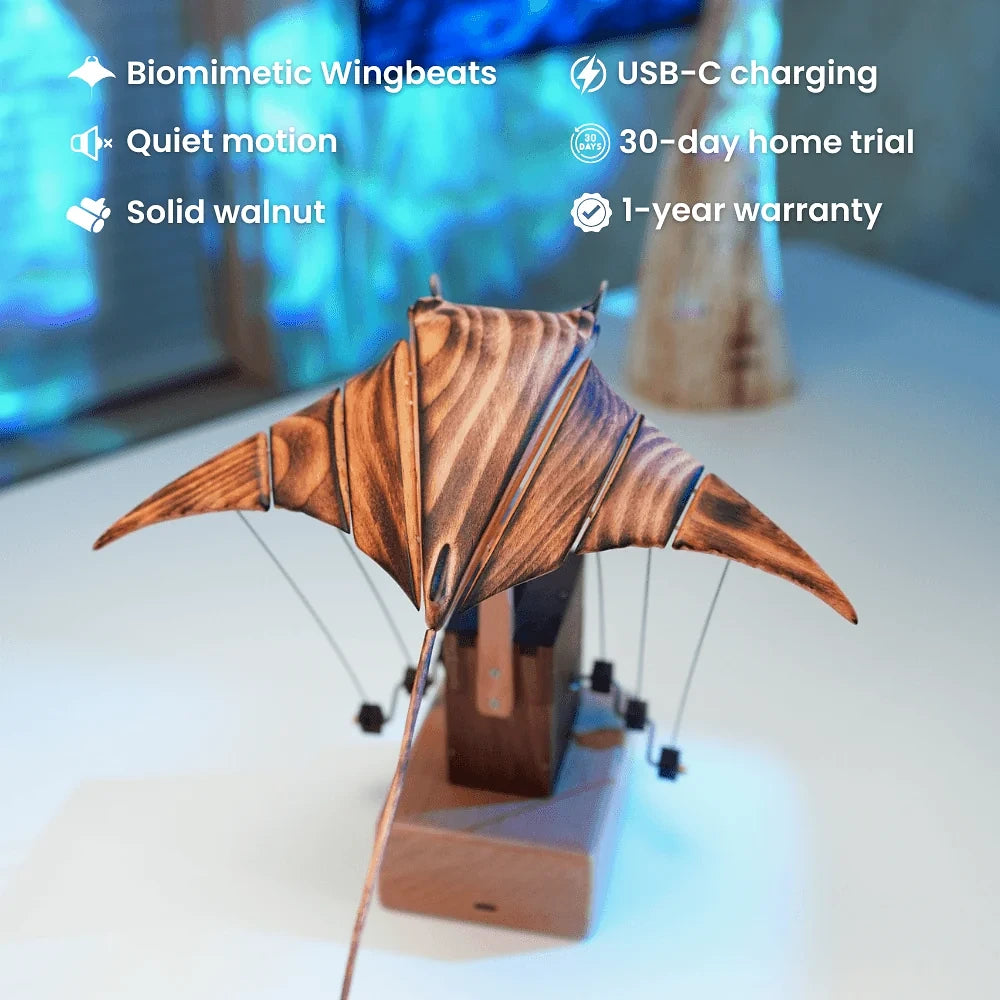 Manta ray automaton features