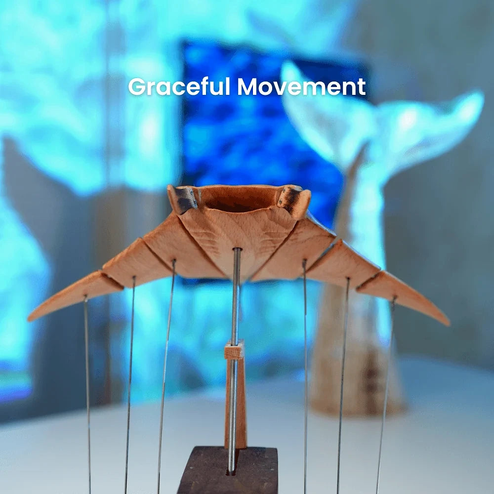 Graceful movement